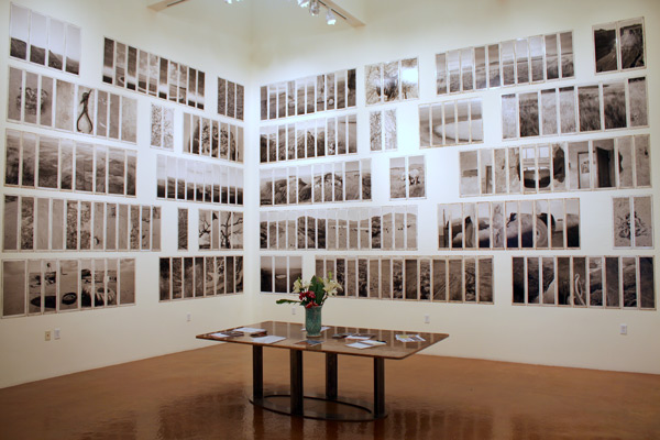 Photo Gallery